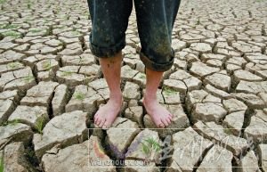 5月21日，一名農民站在開裂的魚塘地面上。連日的干旱使得武漢江夏區(qū)山坡鄉(xiāng)養(yǎng)魚人的池塘干涸。張朋