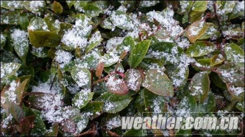 張家界景區(qū)迎來下半年首場降雪 天門山氣溫降至-7℃