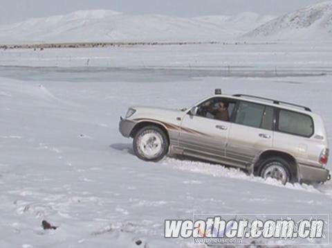 青海甘德縣雪災(zāi)持續(xù) 6個牧委會道路完全封閉