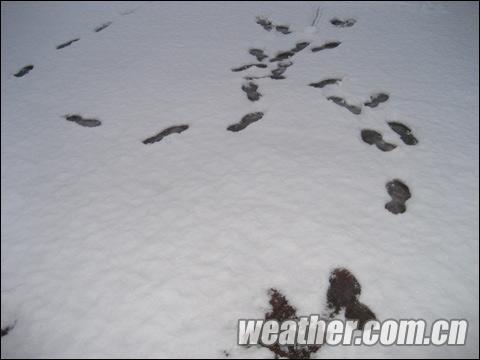 氣象開(kāi)放日到來(lái)之際 春雨春雪齊聚京城 