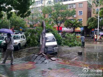 微博直擊臺(tái)風(fēng)“韋森特”