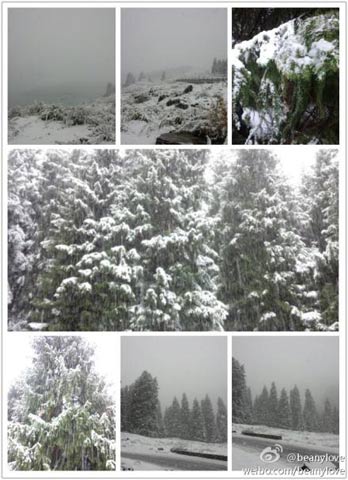 新疆部分地區(qū)雪花飄 烏魯木齊氣溫狂降17℃