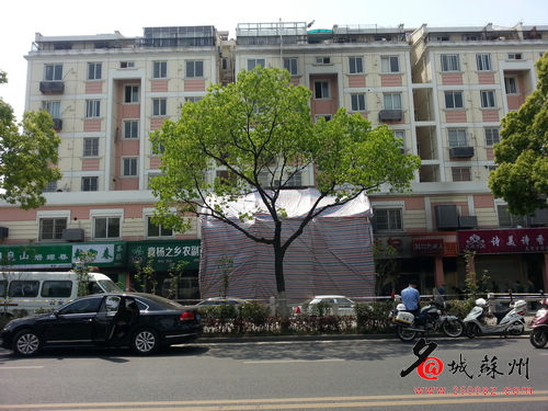 蘇州濱河花園火災(zāi)事故現(xiàn)場