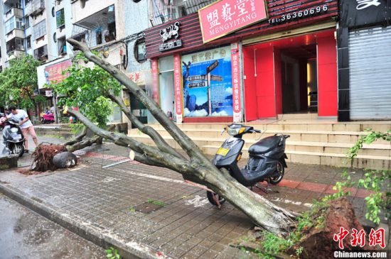 飛燕臺(tái)風(fēng)對(duì)海南影響