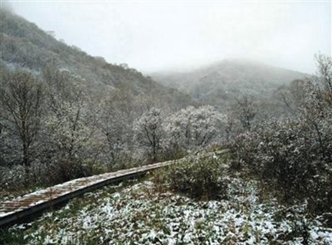 北京靈山五月飄雪，2015年5月9日北京靈山風(fēng)景區(qū)下雪了