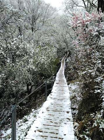 北京靈山五月飄雪，2015年5月9日北京靈山風(fēng)景區(qū)下雪了
