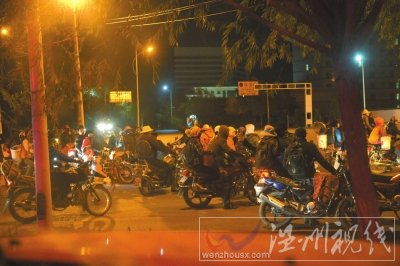黑枸杞遭強行盜采人員集結出發(fā)