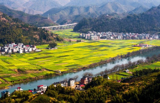 浙江十大旅游風(fēng)情小鎮(zhèn)之楊林鎮(zhèn)