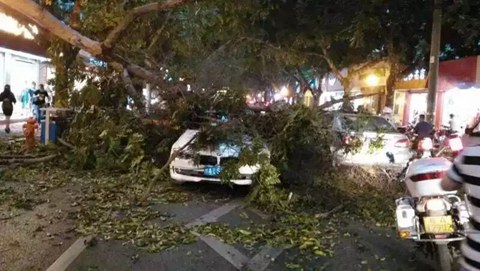 廣西強(qiáng)對(duì)流天氣 13年來(lái)最大范圍冰雹災(zāi)害