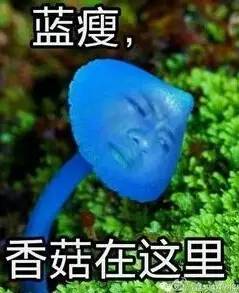 藍(lán)瘦香菇被搶注