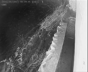 火災(zāi)屋內(nèi)拍到幽靈