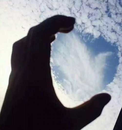 愛心云虐網(wǎng)友一臉