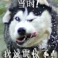 亞洲最時(shí)尚面孔