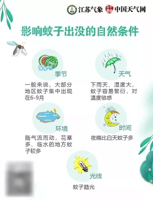 首份蚊子預(yù)警地圖